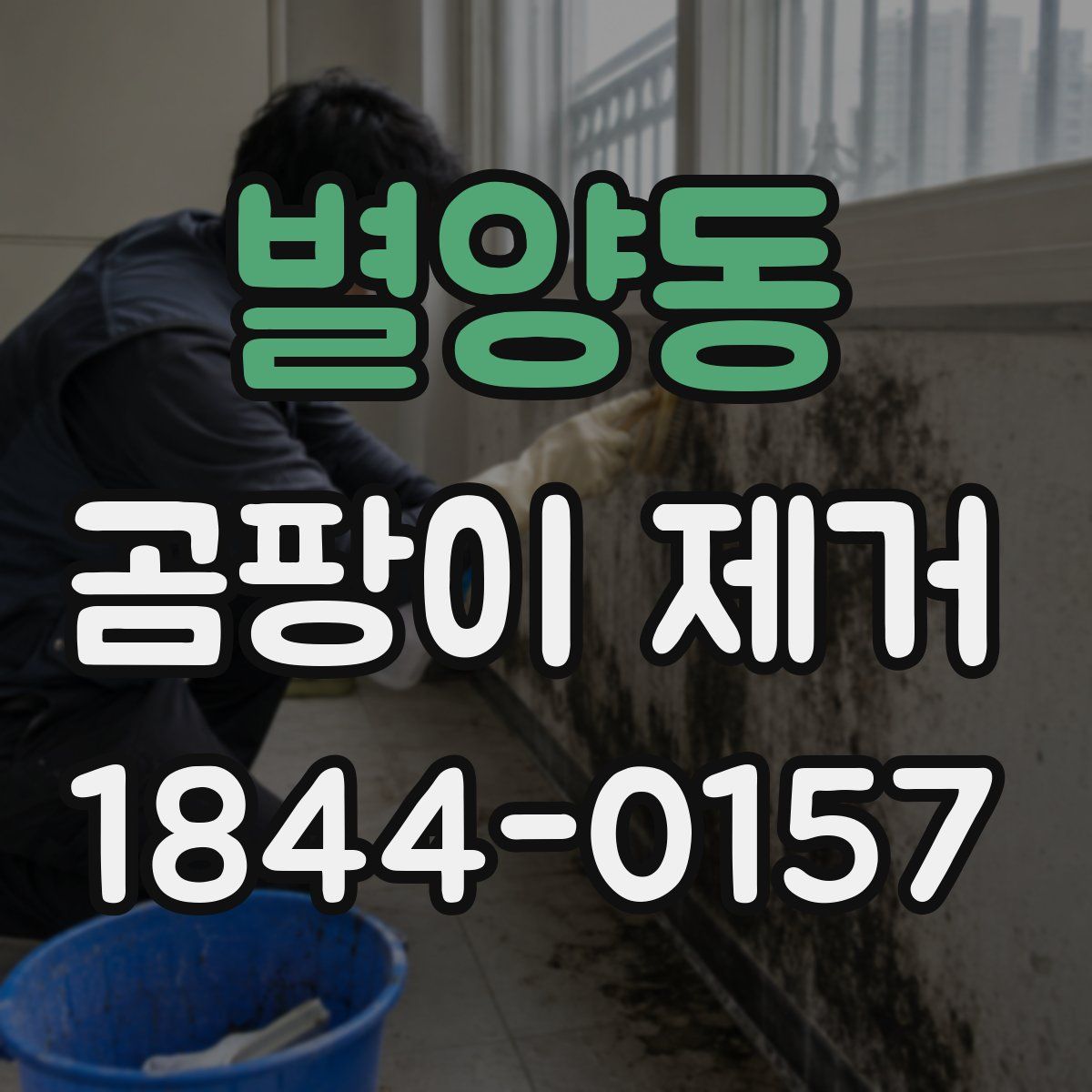 별양동 곰팡이 제거