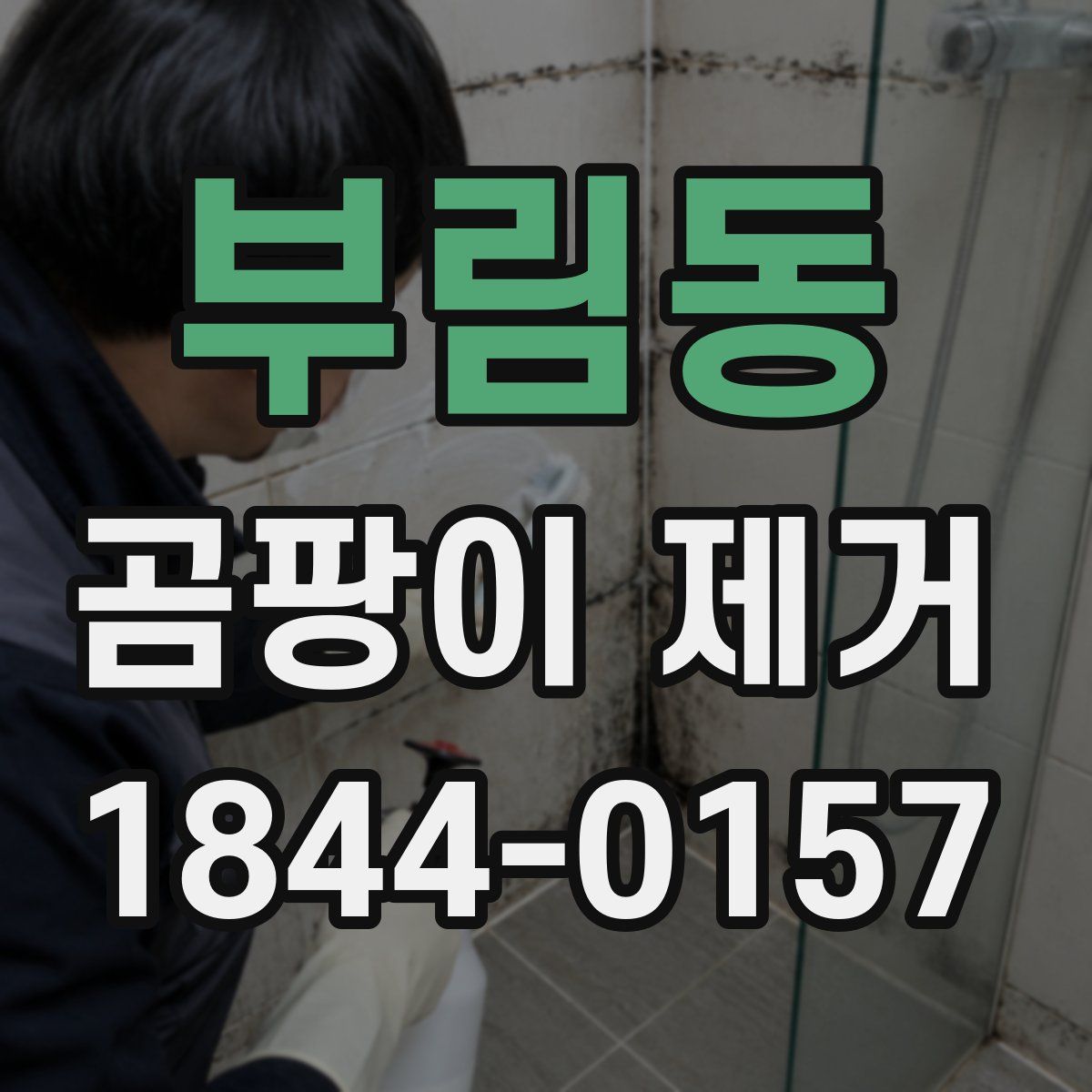 부림동 곰팡이 제거
