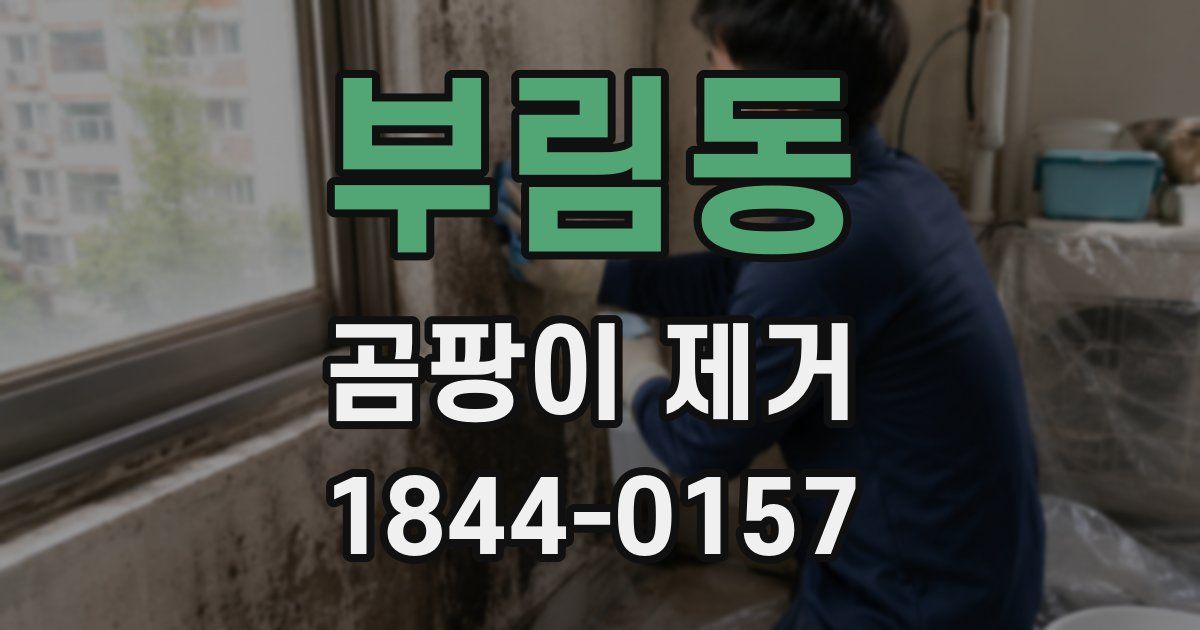 부림동 곰팡이 제거