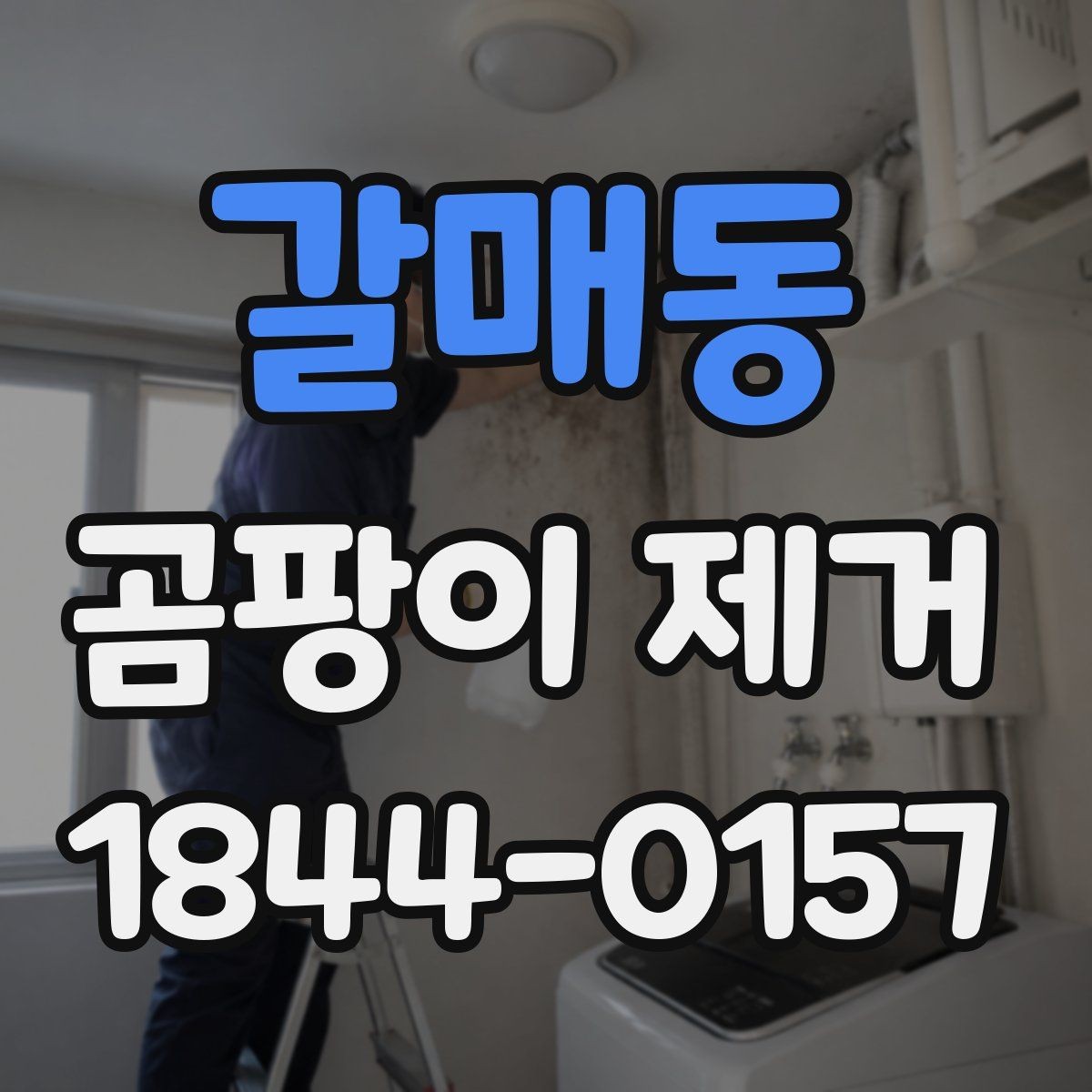 갈매동 곰팡이 제거 후 냄새와 얼룩을 함께 관리하는 법