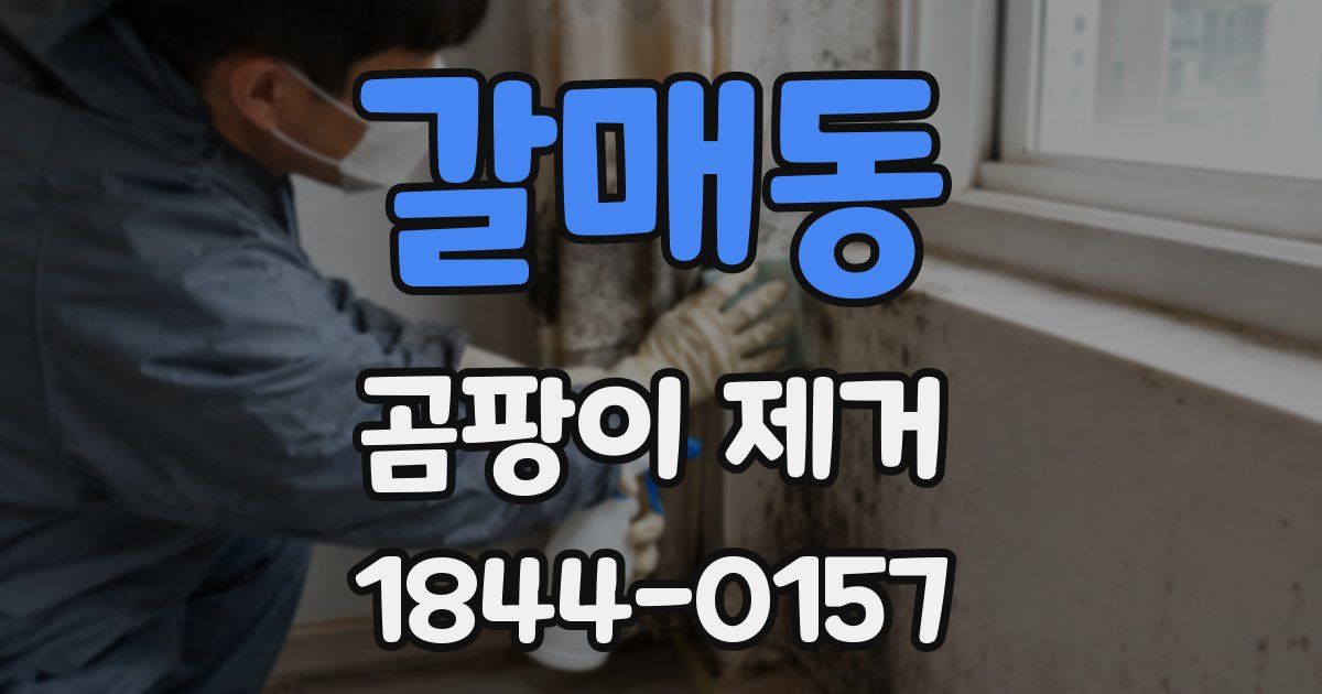 갈매동 곰팡이 제거