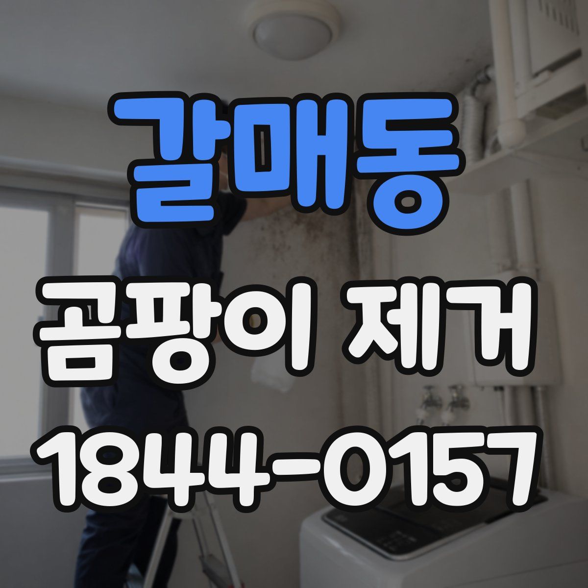 갈매동 곰팡이 제거