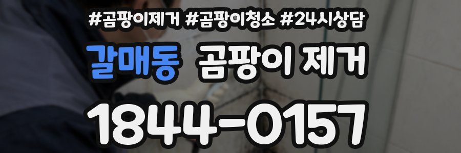 갈매동 곰팡이 제거