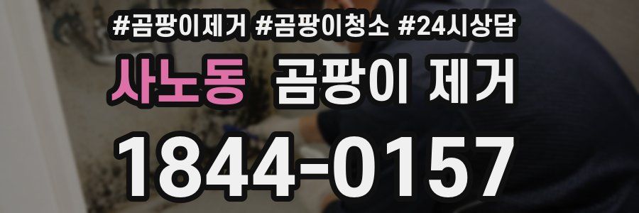 사노동 곰팡이 제거
