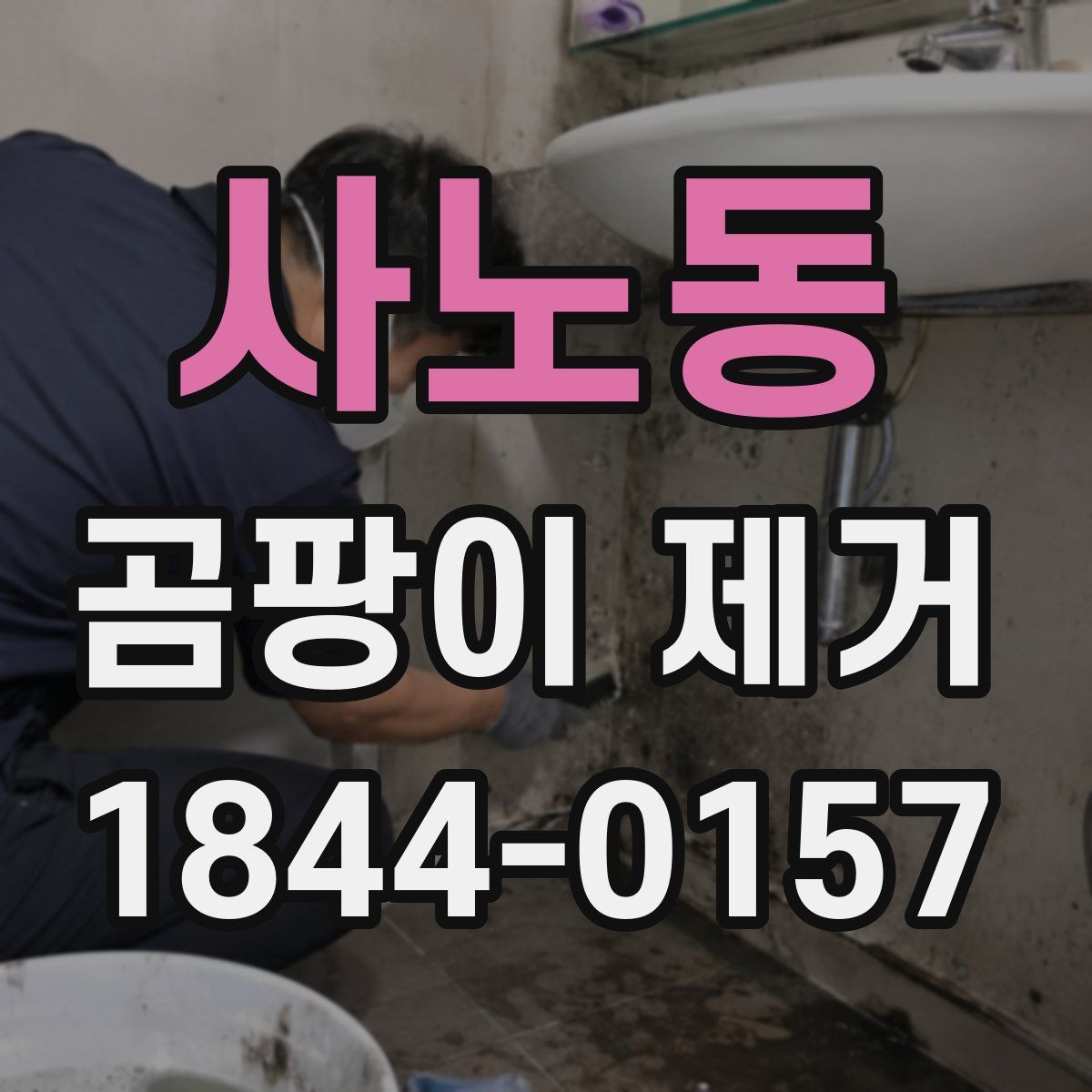사노동 곰팡이 제거