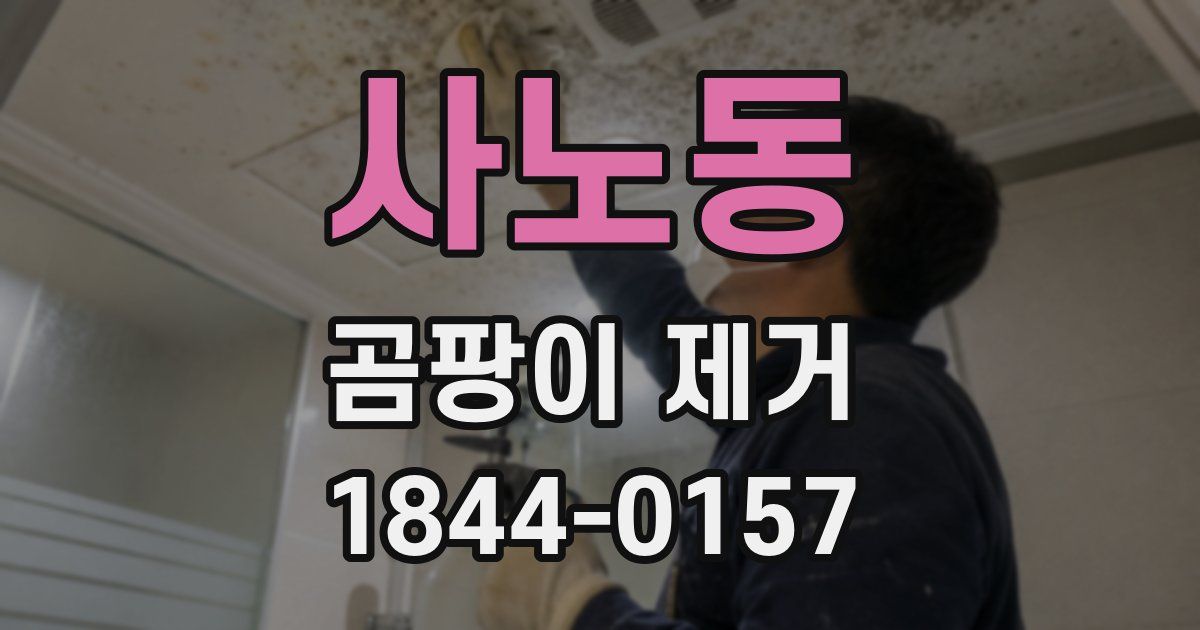 사노동 곰팡이 제거
