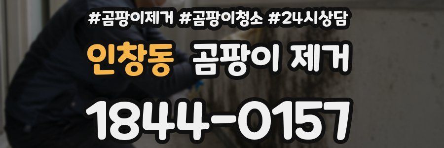 인창동 곰팡이 제거