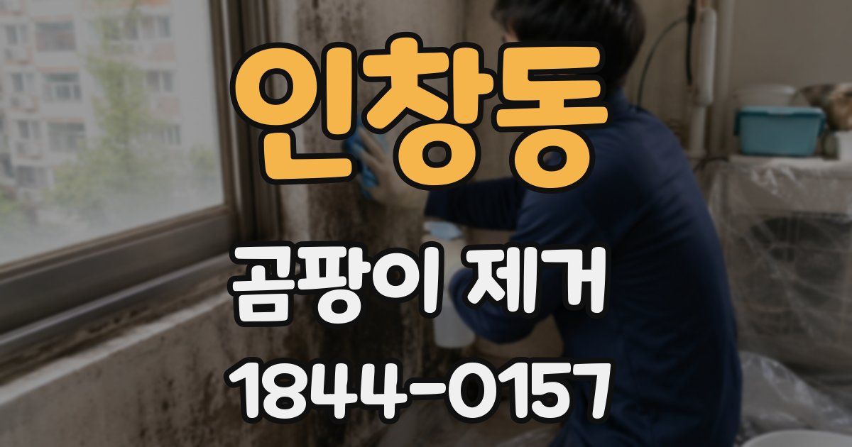 인창동 곰팡이 제거