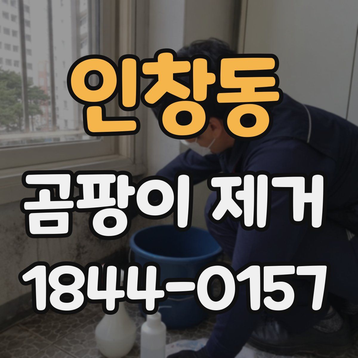 인창동 곰팡이 제거