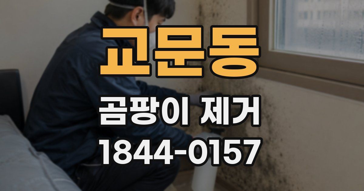 교문동 곰팡이 제거