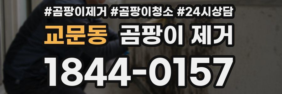 교문동 곰팡이 제거