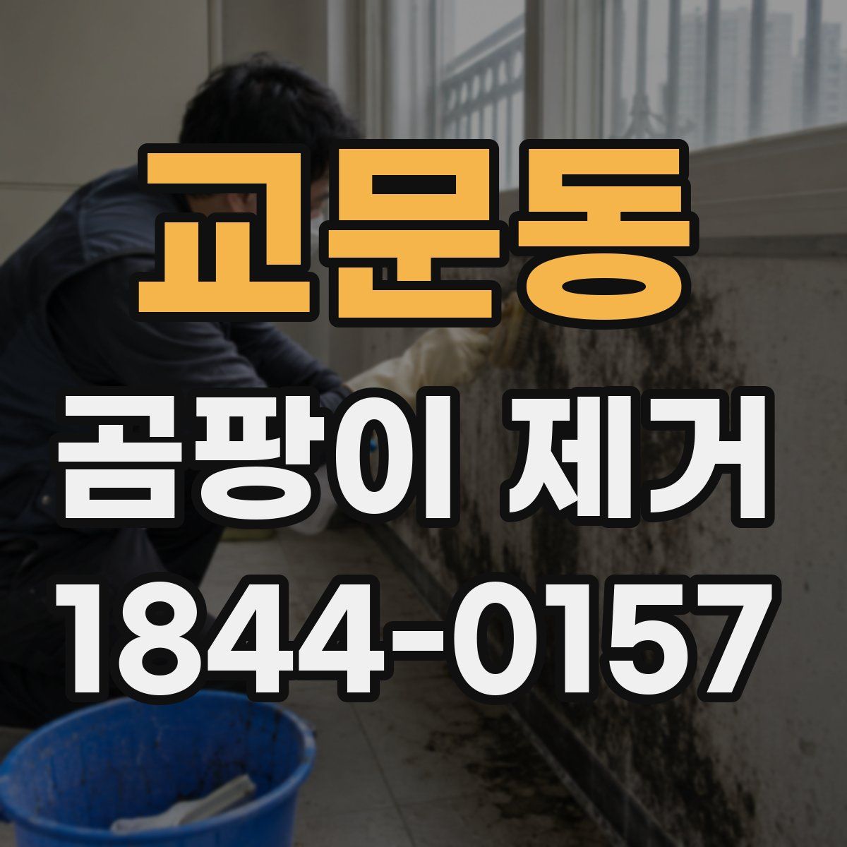 교문동 곰팡이 제거