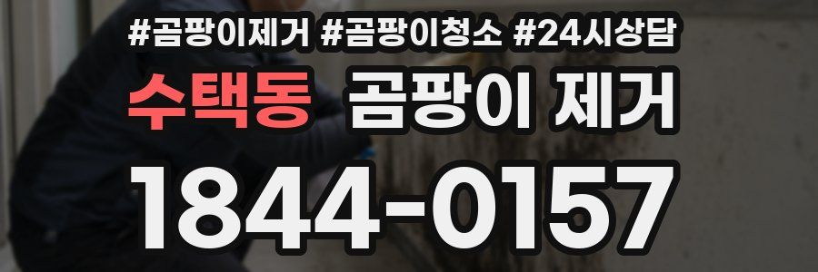 수택동 곰팡이 제거