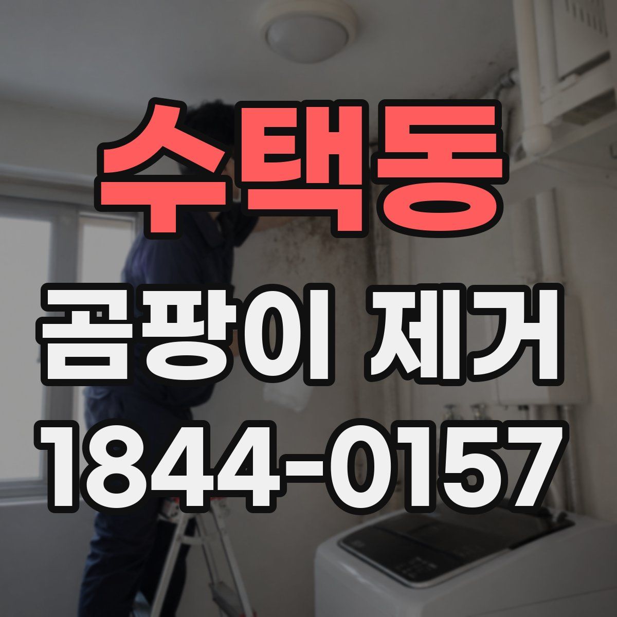 수택동 곰팡이 제거