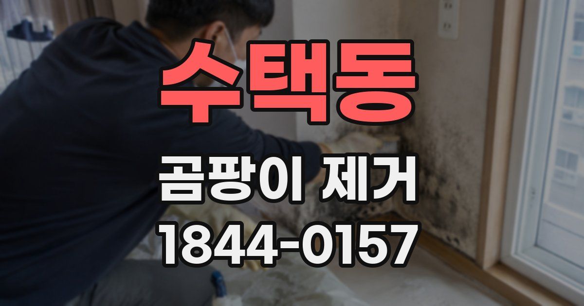 수택동 곰팡이 제거