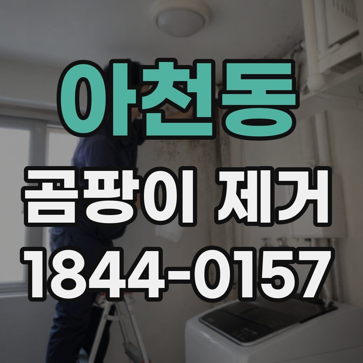 아천동 곰팡이 제거 집안 습관부터 점검해야 하는 이유