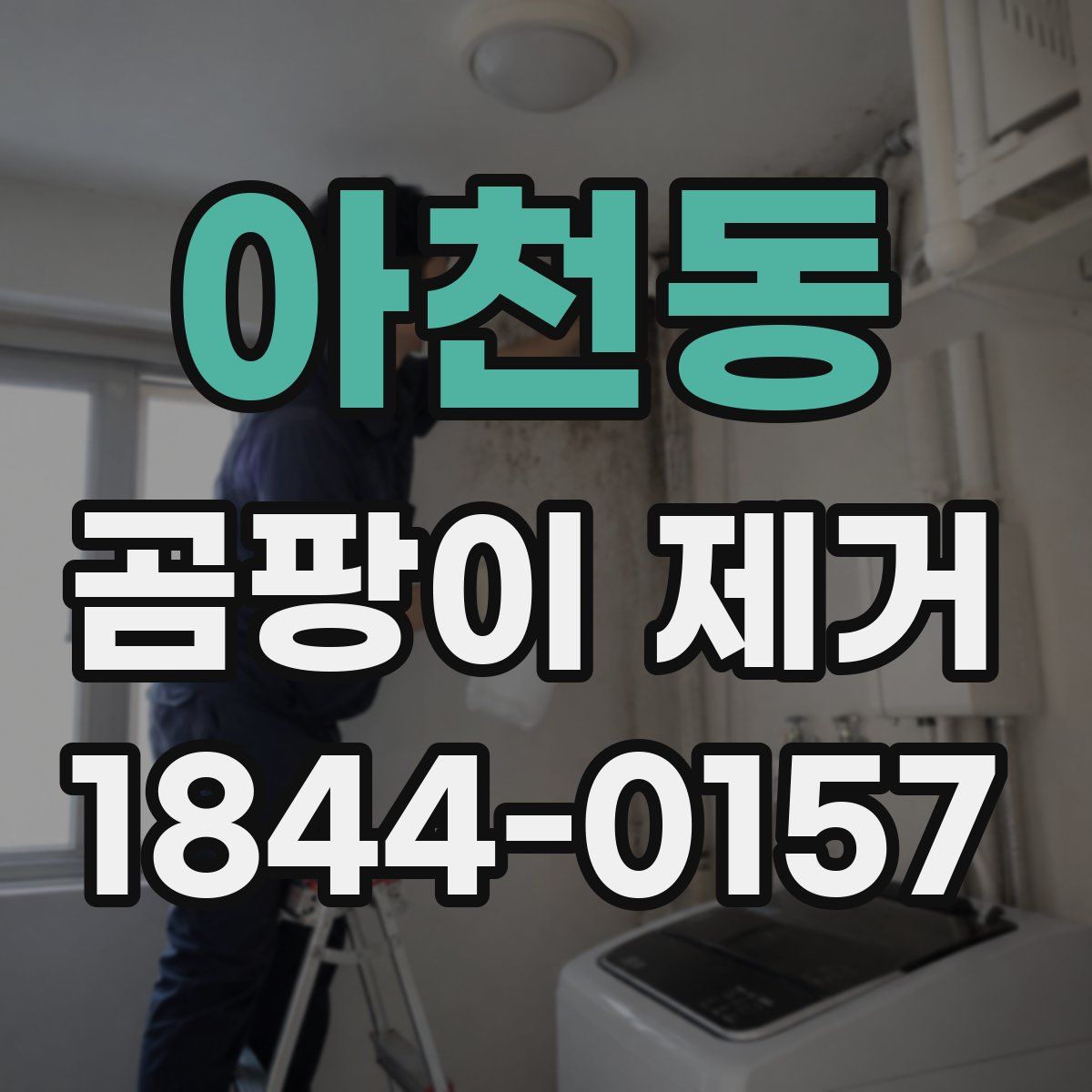 아천동 곰팡이 제거