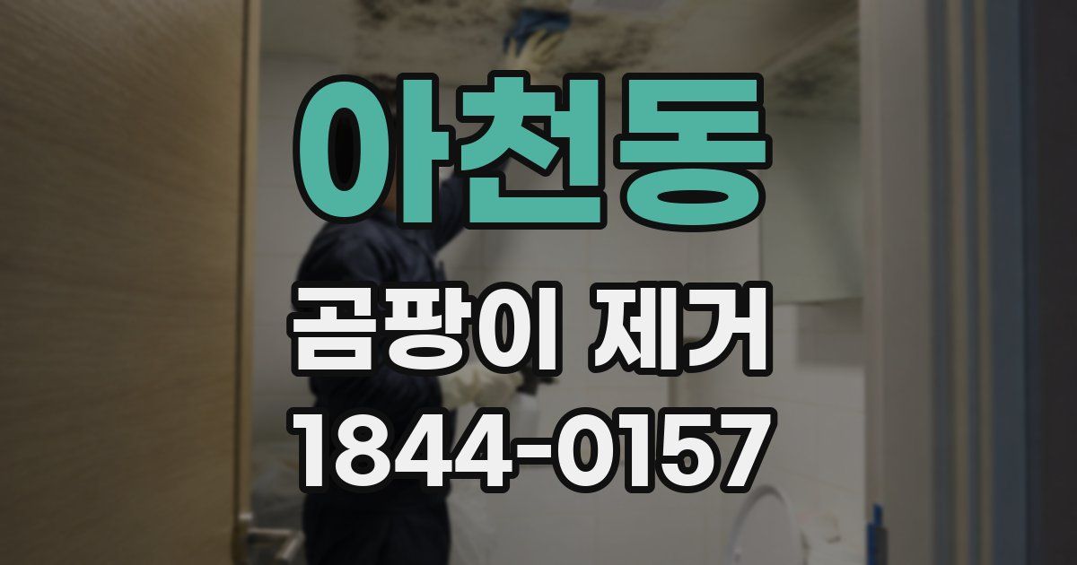 아천동 곰팡이 제거