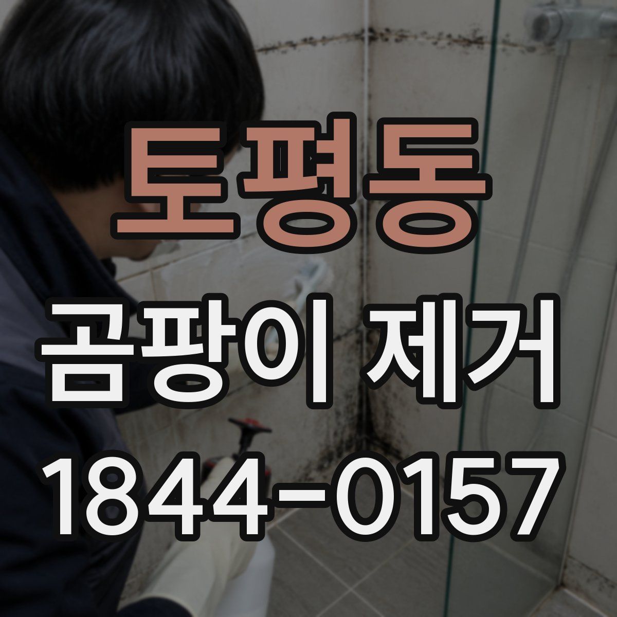 토평동 곰팡이 제거