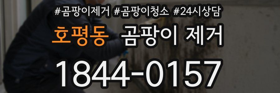 호평동 곰팡이 제거
