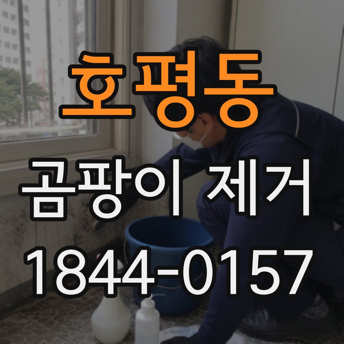 호평동 곰팡이 제거