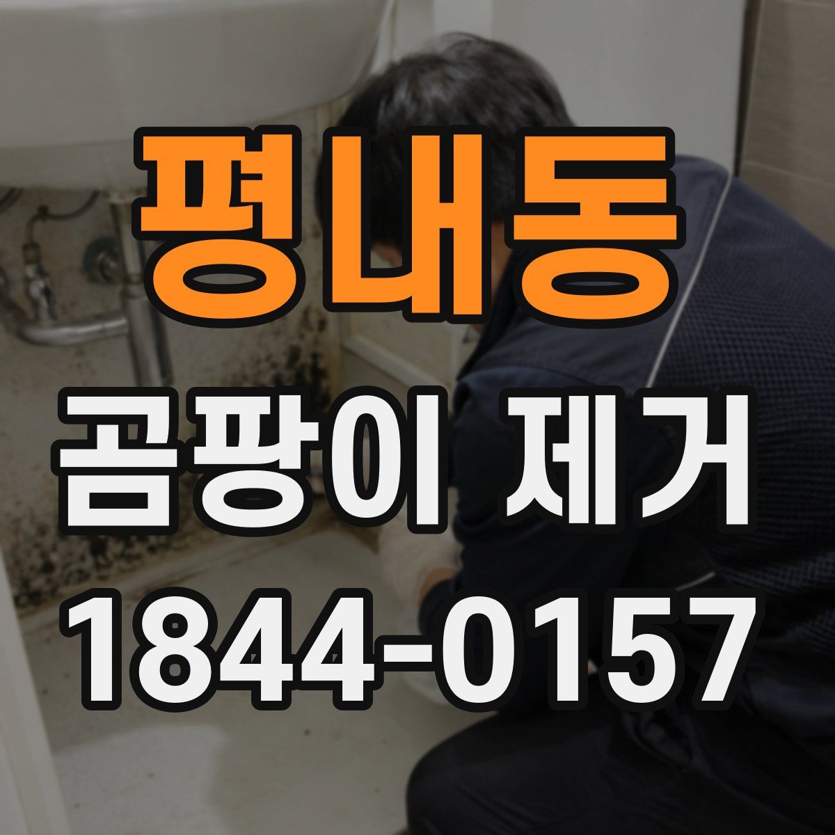 평내동 곰팡이 제거