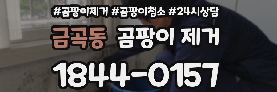 금곡동 곰팡이 제거