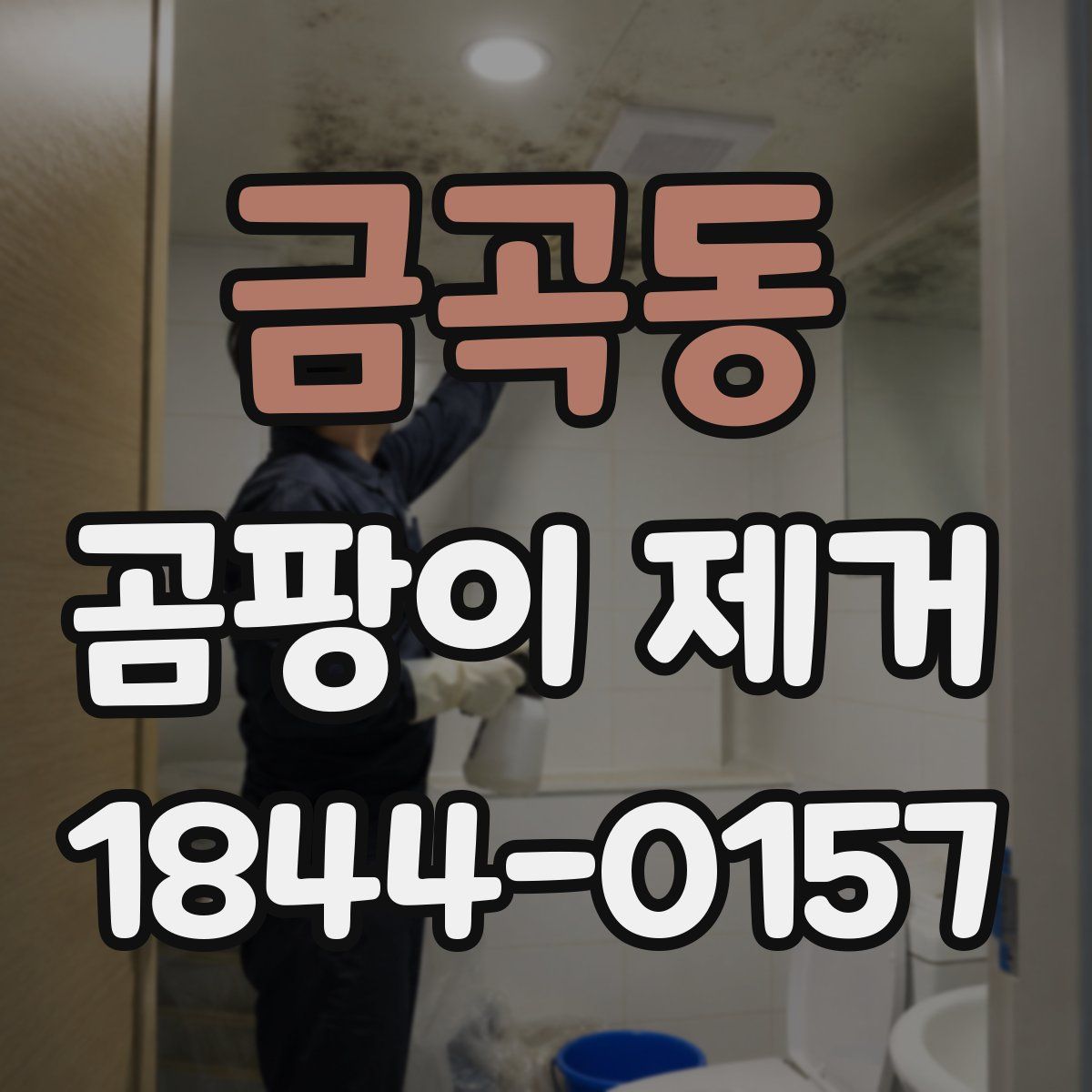 금곡동 곰팡이 제거