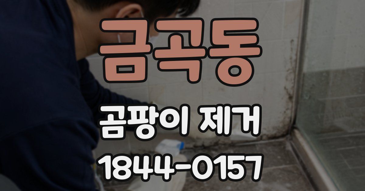 금곡동 곰팡이 제거