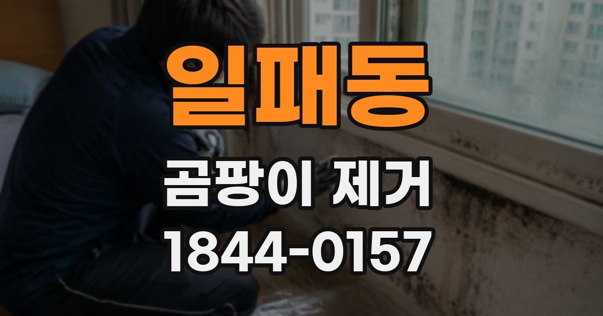 일패동 곰팡이 제거