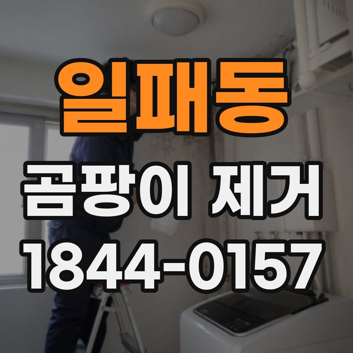 일패동 곰팡이 제거