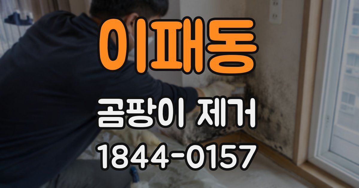 이패동 곰팡이 제거