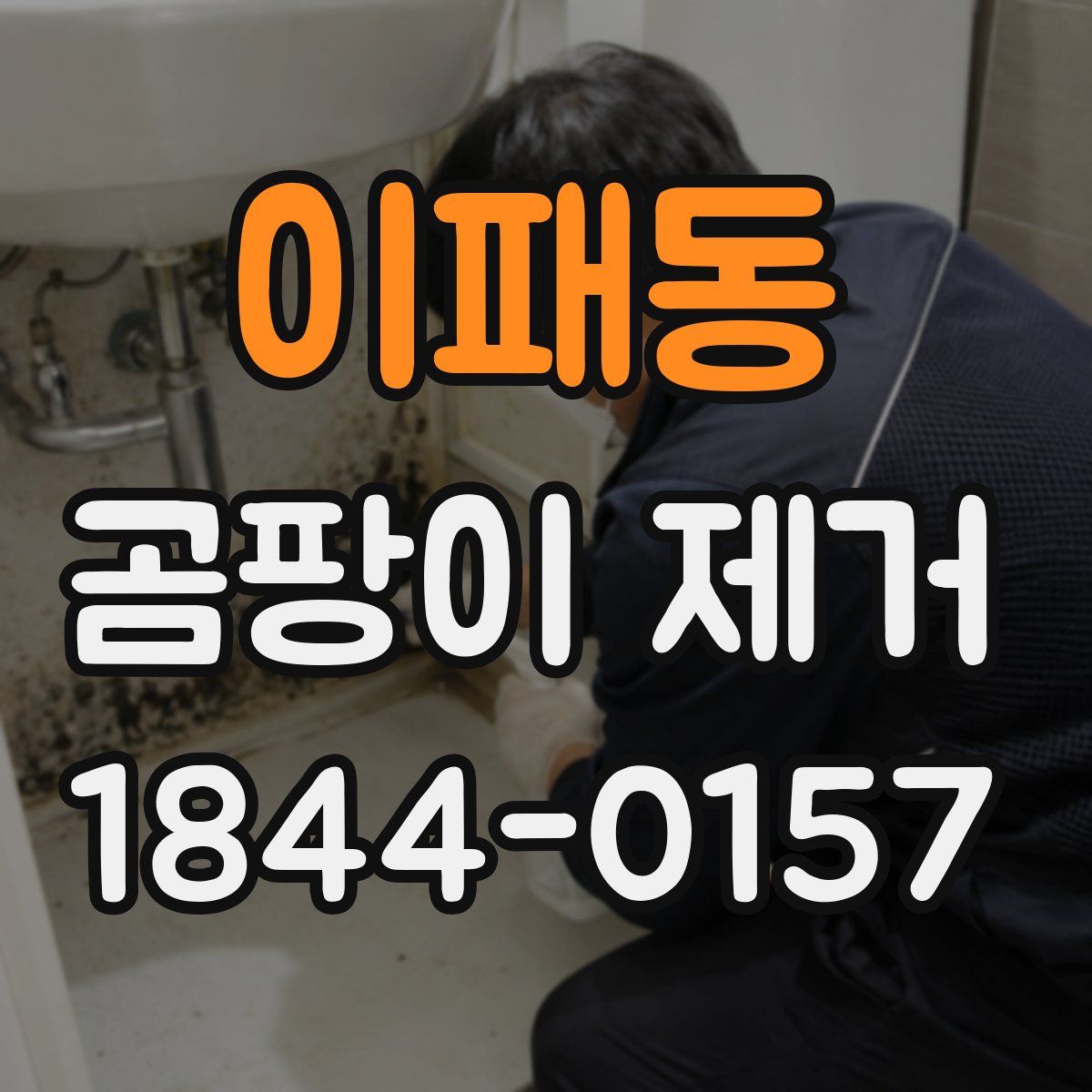 이패동 곰팡이 제거