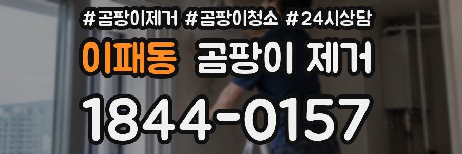 이패동 곰팡이 제거