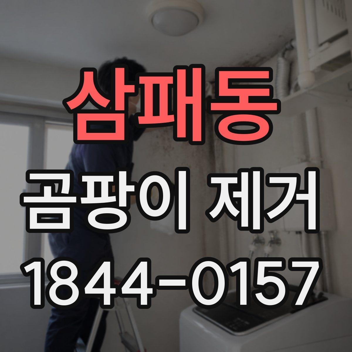 삼패동 곰팡이 제거 뒤 다시 생길 때 원인부터 확인하기