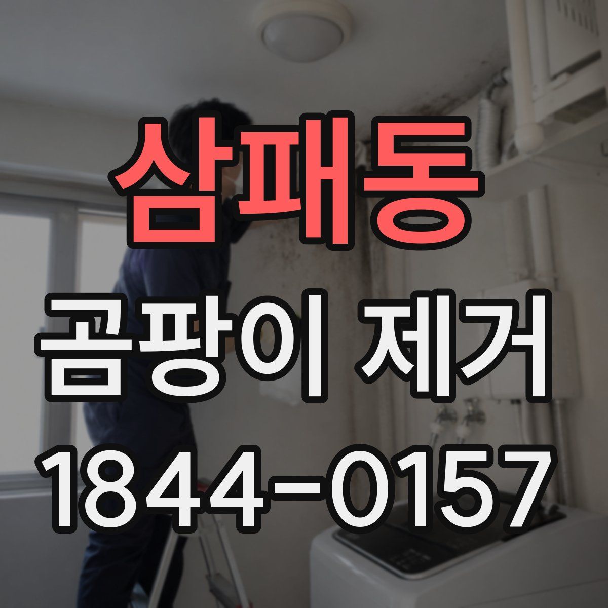 삼패동 곰팡이 제거