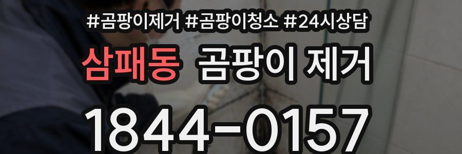 삼패동 곰팡이 제거