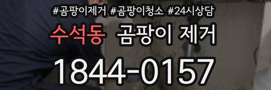 수석동 곰팡이 제거