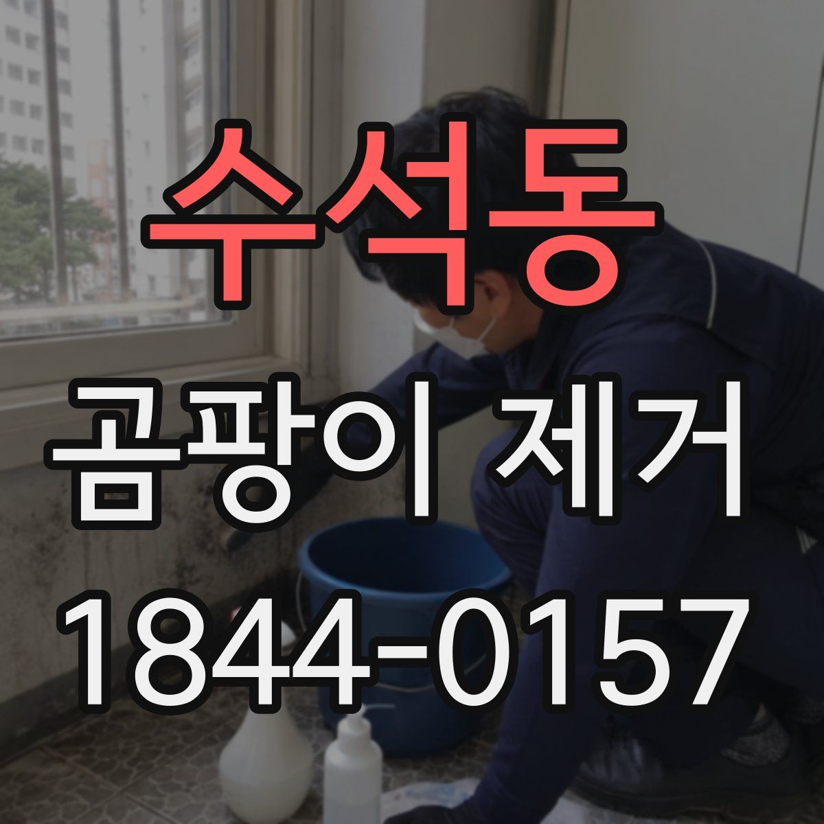 수석동 곰팡이 제거
