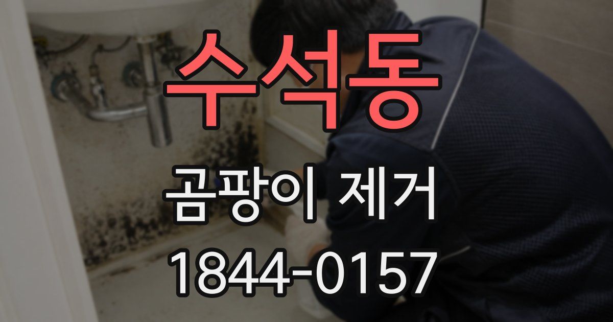 수석동 곰팡이 제거