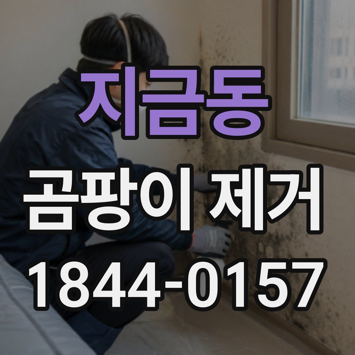 지금동 곰팡이 제거