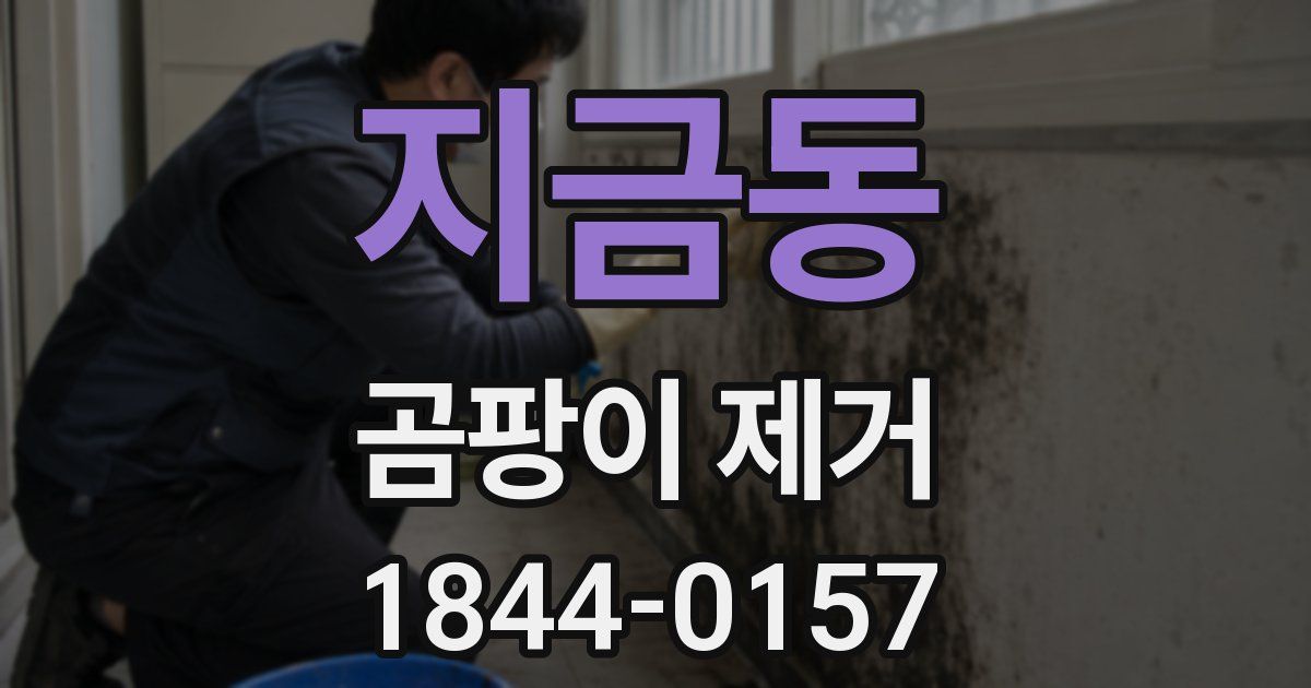 지금동 곰팡이 제거