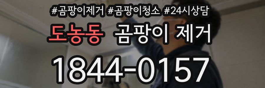 도농동 곰팡이 제거
