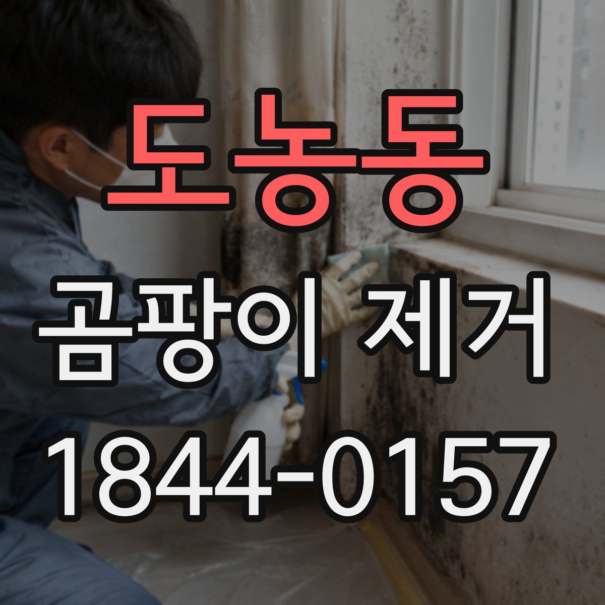 도농동 곰팡이 제거