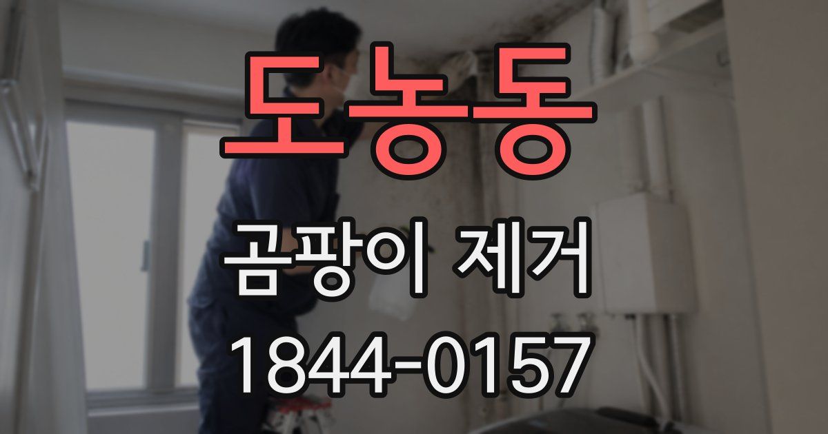 도농동 곰팡이 제거