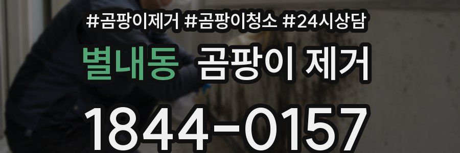 별내동 곰팡이 제거