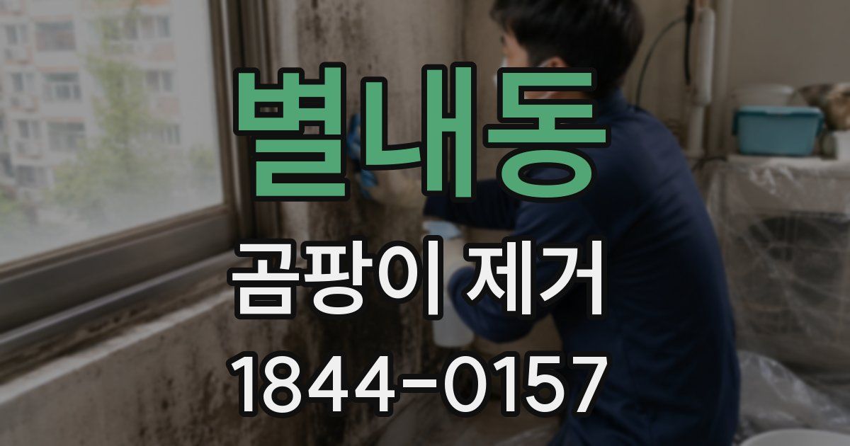 별내동 곰팡이 제거