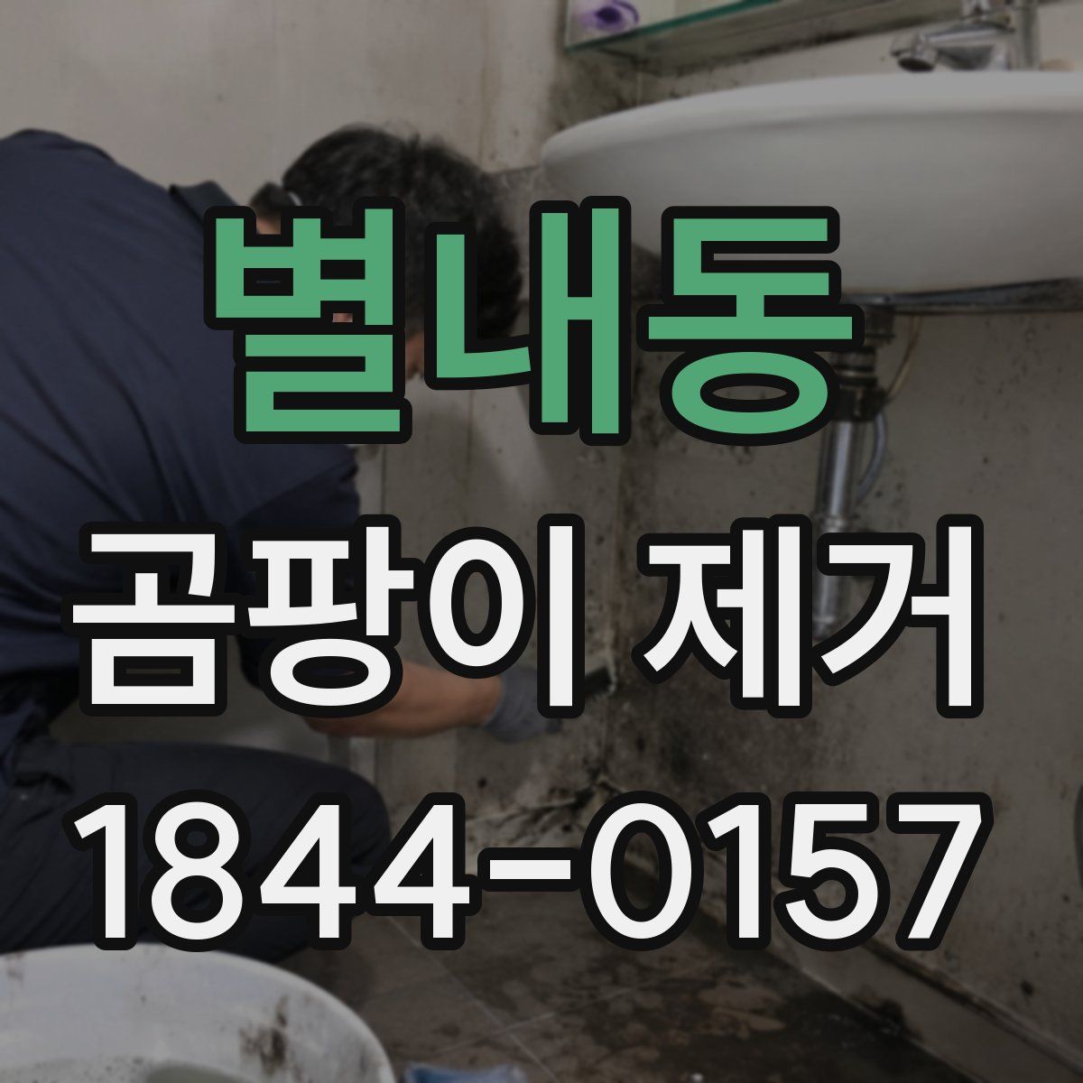 별내동 곰팡이 제거