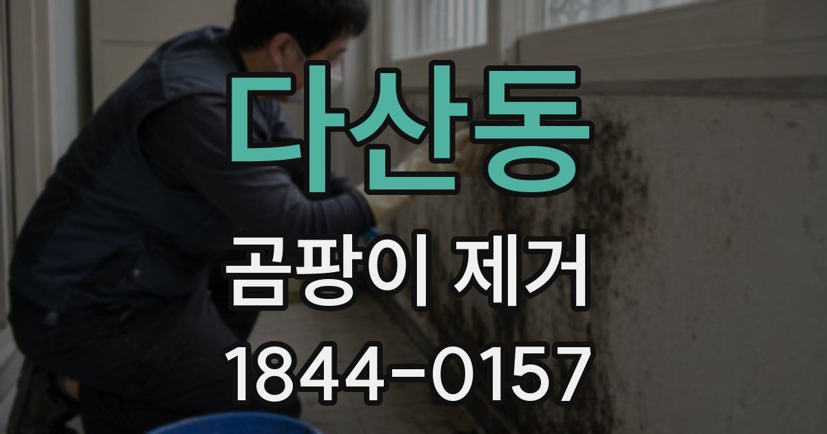 다산동 곰팡이 제거