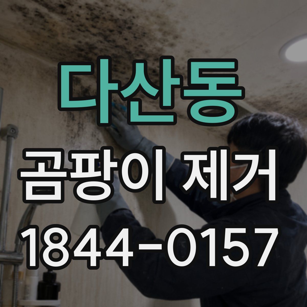 다산동 곰팡이 제거